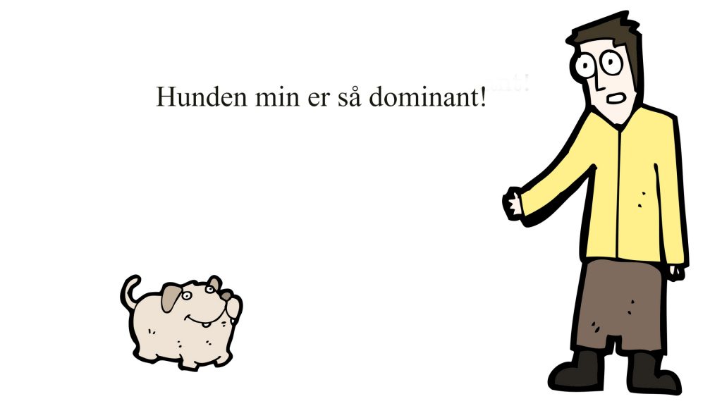 Hunden min er så dominant!-1